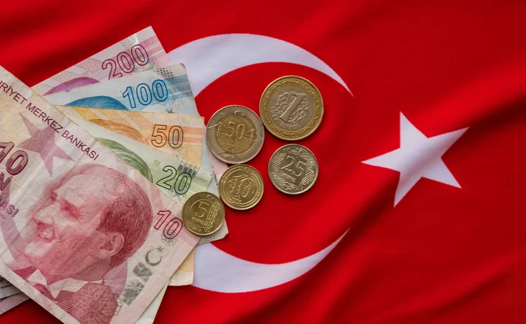 Turkish flag and lira